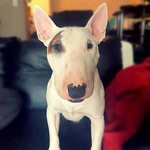 Meet your Posher, Ian